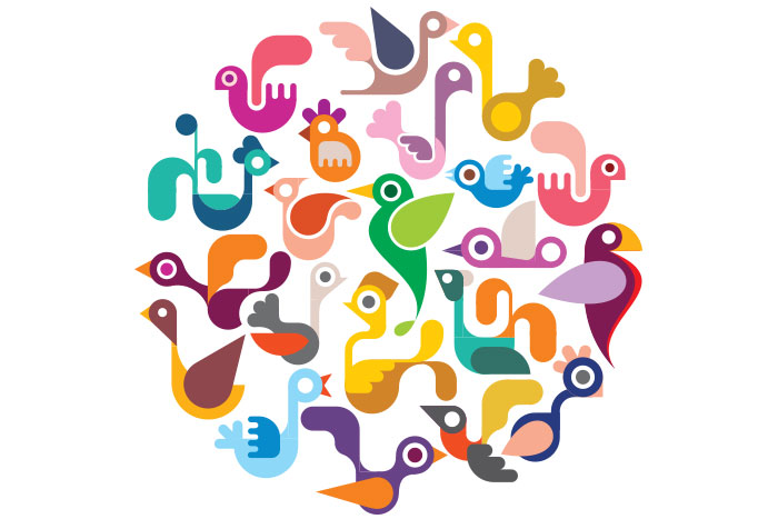 Poultry